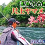 【突撃‼️】ﾈｲﾃｨﾌﾞﾔﾏﾒしか居ない川なの⁉️ 初夏の尺ヤマメ着き場解説 "見張りの糸"外伝