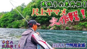 【突撃‼️】ネイティブヤマメしか居ない川なの⁉️ 初夏の尺ヤマメ着き場解説 "見張りの糸"外伝