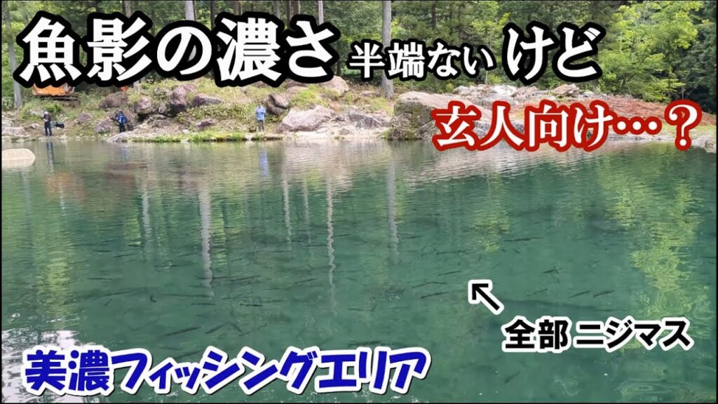 魚影の濃さはハンパないけど激ムズ！？【初心者管釣りレクチャーあり】【美濃フィッシングエリア レビュー】 管釣り日記＃１６