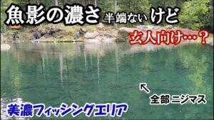 魚影の濃さはハンパないけど激ムズ！？【初心者管釣りレクチャーあり】【美濃フィッシングエリア レビュー】 管釣り日記＃１６