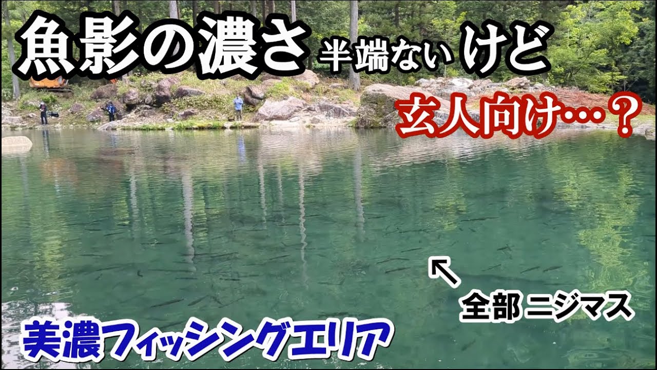 魚影の濃さはハンパないけど激ムズ!?【初心者管釣りレクチャーあり】【美濃フィッシングエリア レビュー】 管釣り日記#16
