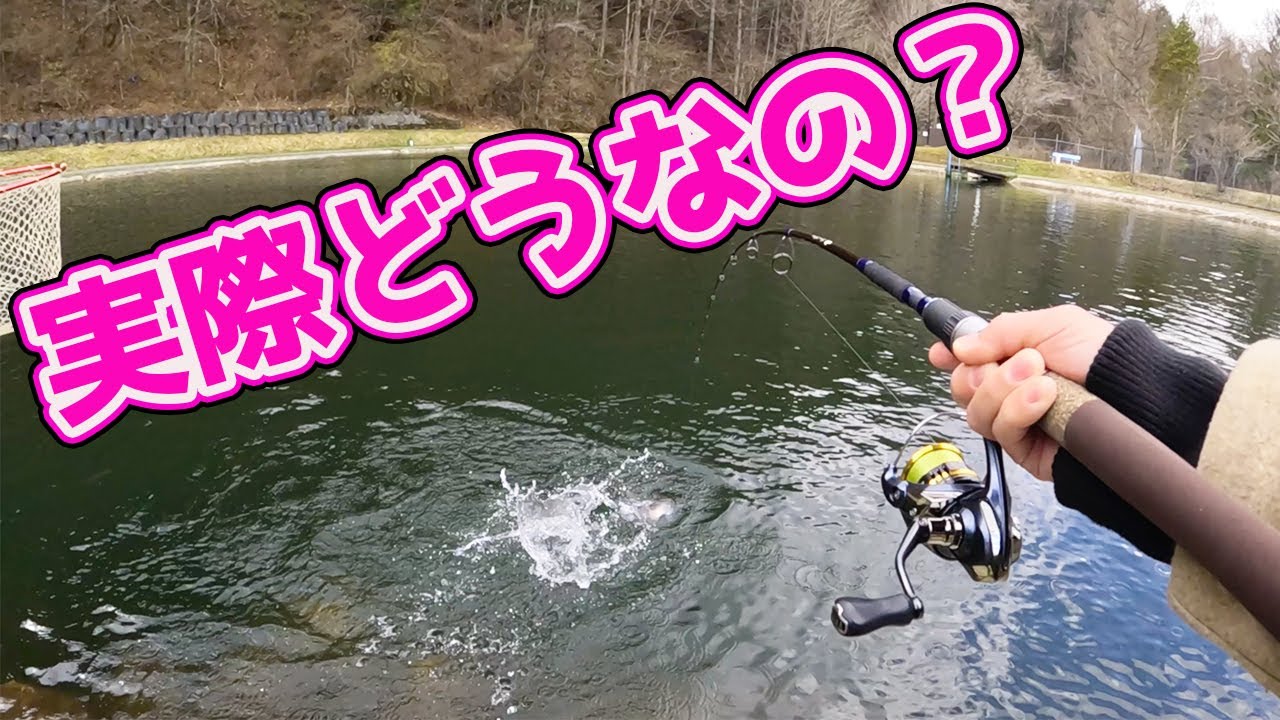 【検証】解禁直後の人気管理釣り場は釣れるのか?平谷湖フィッシングエリアで試してみた。長野県エリアトラウト