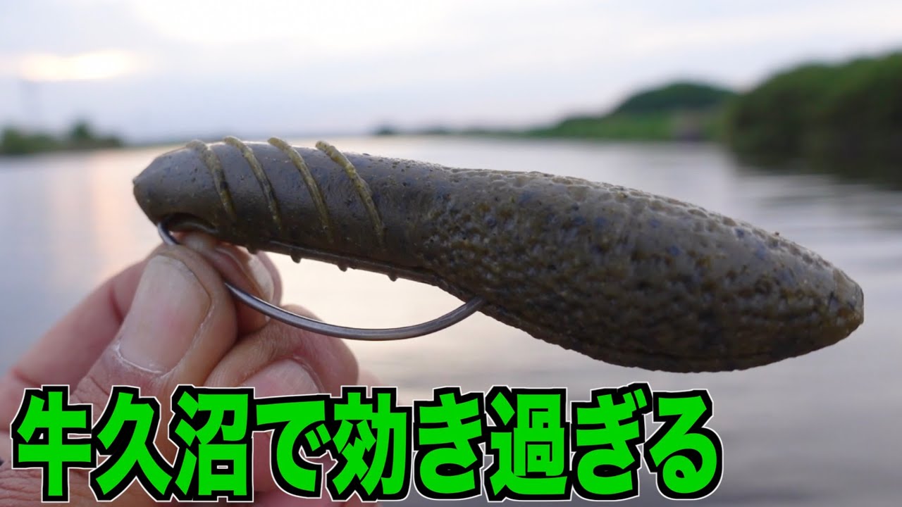 【バス釣り】豚バスを攻略せよ!デプス「カバースキャット」牛久沼で再び炸裂! #バス釣り