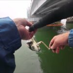 浜名湖弁天島海釣り公園２番航路