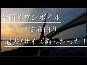 【浜名湖】海釣り公園 イワシ ボイル ギラギラ 泳がせ サビキ ぶち曲り 過去1の大きさ 自己記録更新 デカい