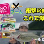 【100均ルアーで爆釣!?】ダイソールアーで本気釣りしてみた結果がヤバい…