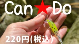 【渓流ルアー】100均ミノーを使ってみたら、大切な事に気がついた