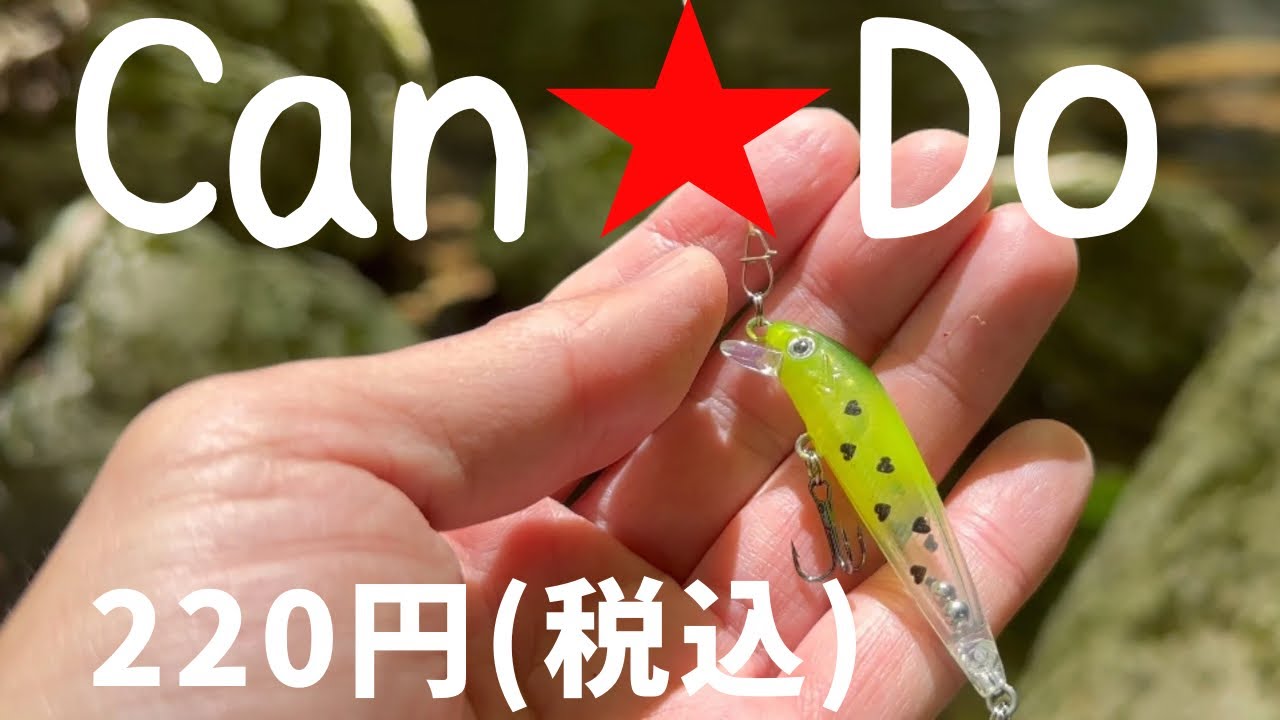 【渓流ルアー】100均ミノーを使ってみたら、大切な事に気がついた