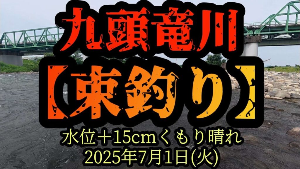 【束釣り】100匹達成！　九頭竜鮎の神様に「20cmを20匹釣らせて下さい。」とお願いしたら？　2025年7月1日