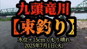 【束釣り】100匹達成! 九頭竜鮎の神様に「20cmを20匹釣らせて下さい。」とお願いしたら? 2025年7月1日