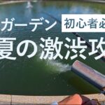 【朝霞ガーデン 初心者必見 保存版】真夏の激渋攻略！中層ボトムレンジを探って、1時間で10匹以上達成！他では、中々、取り上げられていない巻きフォールについて解説！
