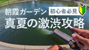 【朝霞ガーデン 初心者必見 保存版】真夏の激渋攻略!中層ボトムレンジを探って、1時間で10匹以上達成!他では、中々、取り上げられていない巻きフォールについて解説!