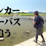 筑後川でランカーサイズを狙う、エツの遡上でランカー祭り！？ 1/2 『Seabass Journey 44』【釣りビジョン】
