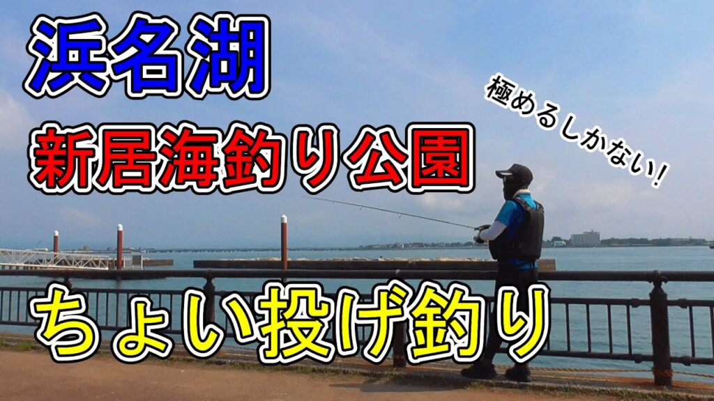 浜名湖 釣り【#138】サビキだけじゃない!色々釣れる新居海釣り公園!