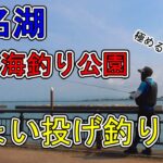 浜名湖 釣り【#138】サビキだけじゃない!色々釣れる新居海釣り公園!
