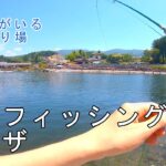 【川場フィッシングプラザ】イトウが泳ぐ群馬の管理釣り場で【雑魚日誌14日目】
