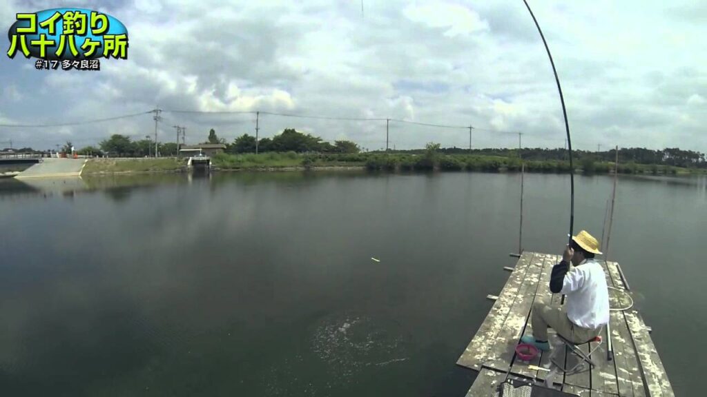 コイ釣り八十八ヶ所　#17：群馬県・多々良沼