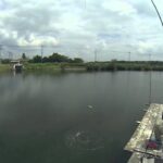 コイ釣り八十八ヶ所　#17：群馬県・多々良沼