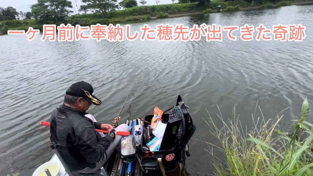 びん沼へらぶな釣り！奉納した穂先が1ヶ月後に出てきた、、奇跡すぎるw俺のはいつ出てくるかw