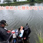 びん沼へらぶな釣り！奉納した穂先が1ヶ月後に出てきた、、奇跡すぎるw俺のはいつ出てくるかw