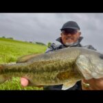 ビン沼ブラックバス釣りラージマウスバス釣り2🎣🐟