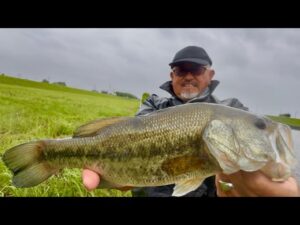 ビン沼ブラックバス釣りラージマウスバス釣り2🎣🐟