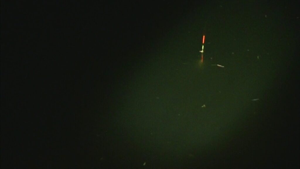 別所沼釣り映像2018.8.18.19.26