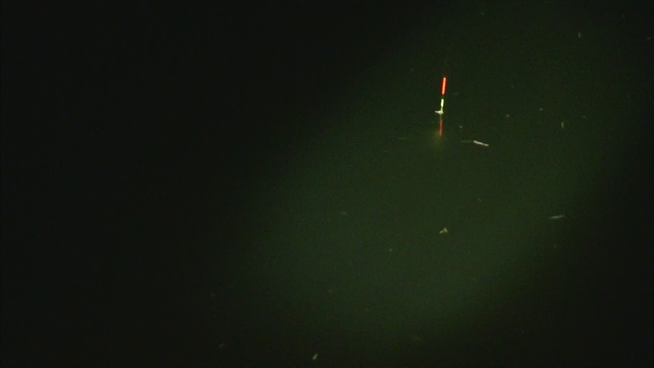 別所沼釣り映像2018.8.18.19.26