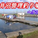 なかなかシビレル管理釣り場でした！！【鳥羽井沼管理釣り場】2022.9.11