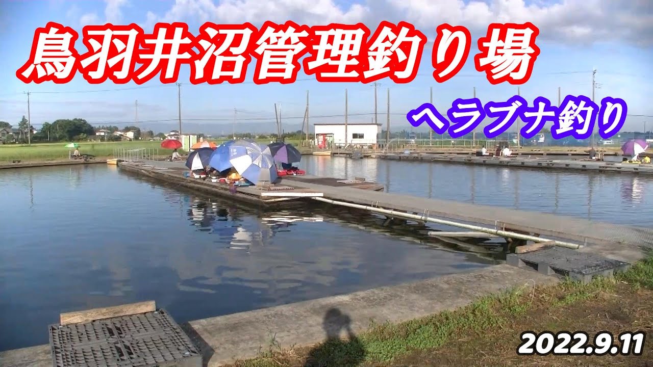 なかなかシビレル管理釣り場でした!!【鳥羽井沼管理釣り場】2022.9.11