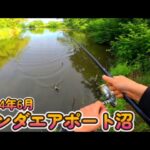 2024年6月 川田谷飛行場沼(ホンダエアポート沼) 埼玉県桶川市 おかっぱりポイントを探す旅