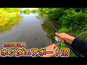 2024年6月 川田谷飛行場沼(ホンダエアポート沼) 埼玉県桶川市 おかっぱりポイントを探す旅