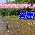 【2025鮎釣り】栃木県最強の癒やし河川 男鹿川 育成調査試し釣り