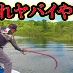【2025年最新版】遂にバスが釣れまくる魔法のルアーが発見される。