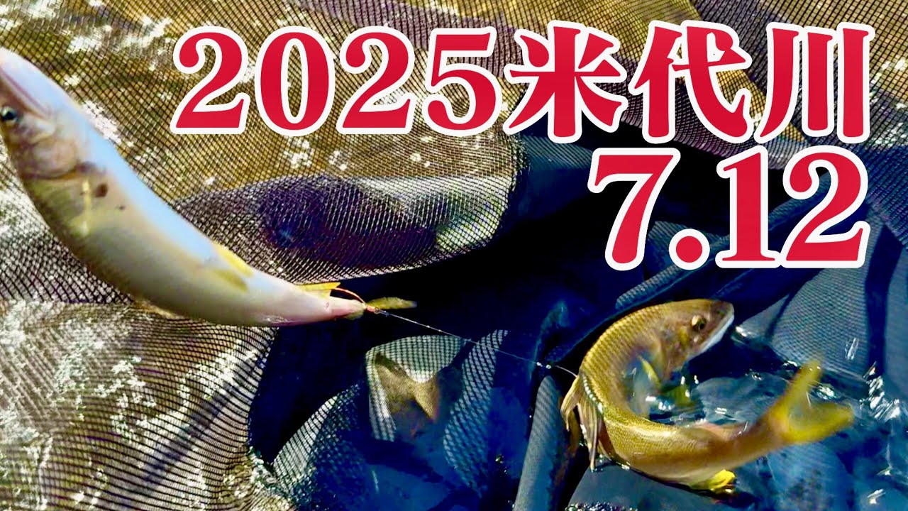 米代川で鮎釣り 2025 7.12 鹿角八幡平花輪エリア