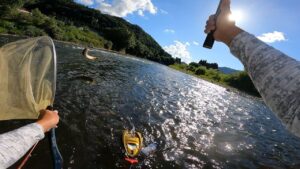 鮎釣り2025 7/28 米代川