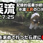 道東夏渓流2025 涼しさを求めて行ったら逆に暑かった【渓流釣り】July 2025: Untapped Fishing Spots in Hokkaido