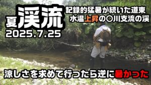道東夏渓流2025 涼しさを求めて行ったら逆に暑かった【渓流釣り】July 2025: Untapped Fishing Spots in Hokkaido