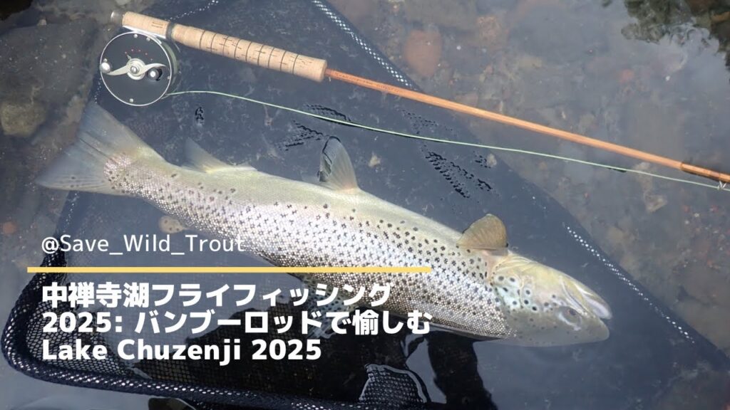 中禅寺湖 フライフィッシング 2025: バンブーロッドで愉しむ Lake Chuzenji 2025 @Save_Wild_Trout