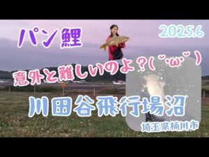 パン鯉って簡単そうで意外と難しいのよ( ˘•ω•˘ ;)川田谷飛行場沼【埼玉県桶川市】2025.6 carp fishing/woman fishing