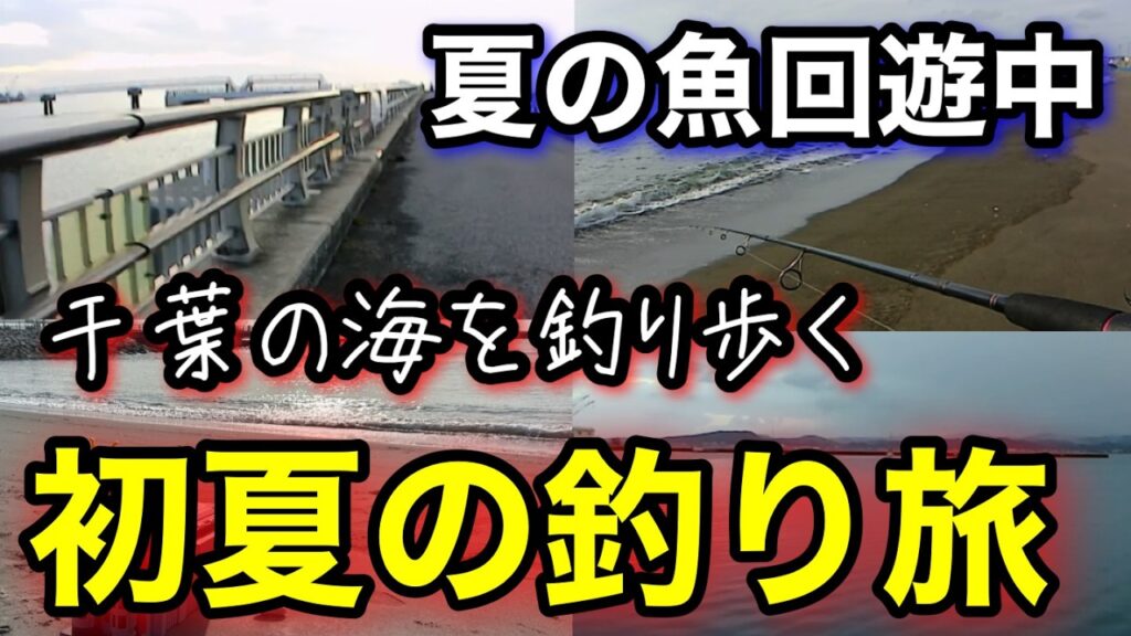 初心者でも楽しめる夏の釣り！ウキ釣り＆ちょい投げ【千葉釣り旅】青物爆釣2025.7編