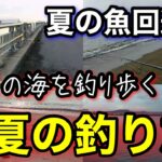 初心者でも楽しめる夏の釣り！ウキ釣り＆ちょい投げ【千葉釣り旅】青物爆釣2025.7編