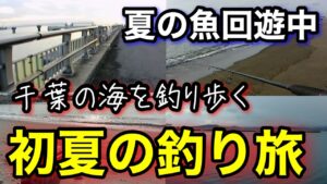 初心者でも楽しめる夏の釣り！ウキ釣り＆ちょい投げ【千葉釣り旅】青物爆釣2025.7編