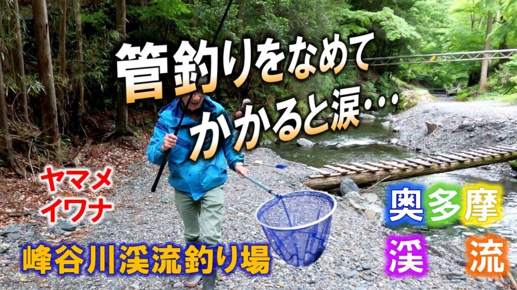 【奥多摩渓流釣り】ヤマメ・イワナが釣れる管理釣り場・峰谷川渓流釣り場に釣行。たかが管釣りとなめてかかると貧果に泣きます。腕に覚えがある人は挑戦を！2025/5/26