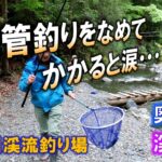【奥多摩渓流釣り】ヤマメ・イワナが釣れる管理釣り場・峰谷川渓流釣り場に釣行。たかが管釣りとなめてかかると貧果に泣きます。腕に覚えがある人は挑戦を！2025/5/26