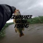 【多々良沼】バス釣り 2025年6月中旬〜下旬  #マックスセント #アダルトバニー