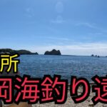 静岡海釣り遠征2025年6月下旬