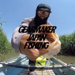 【多々良沼】バス釣り 2025年6月初旬  #KOIKE SUPLEX