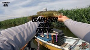 【多々良沼】バス釣り 2025年6月上旬① #ブルフラット #PURPLEHAZE