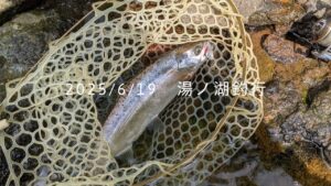 2025/6/19　湯ノ湖釣行